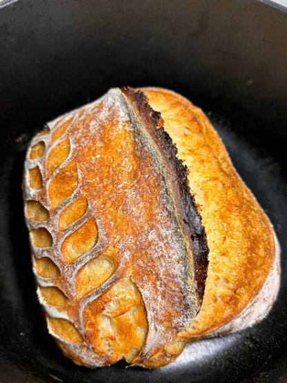 Hogaza Semi Integral