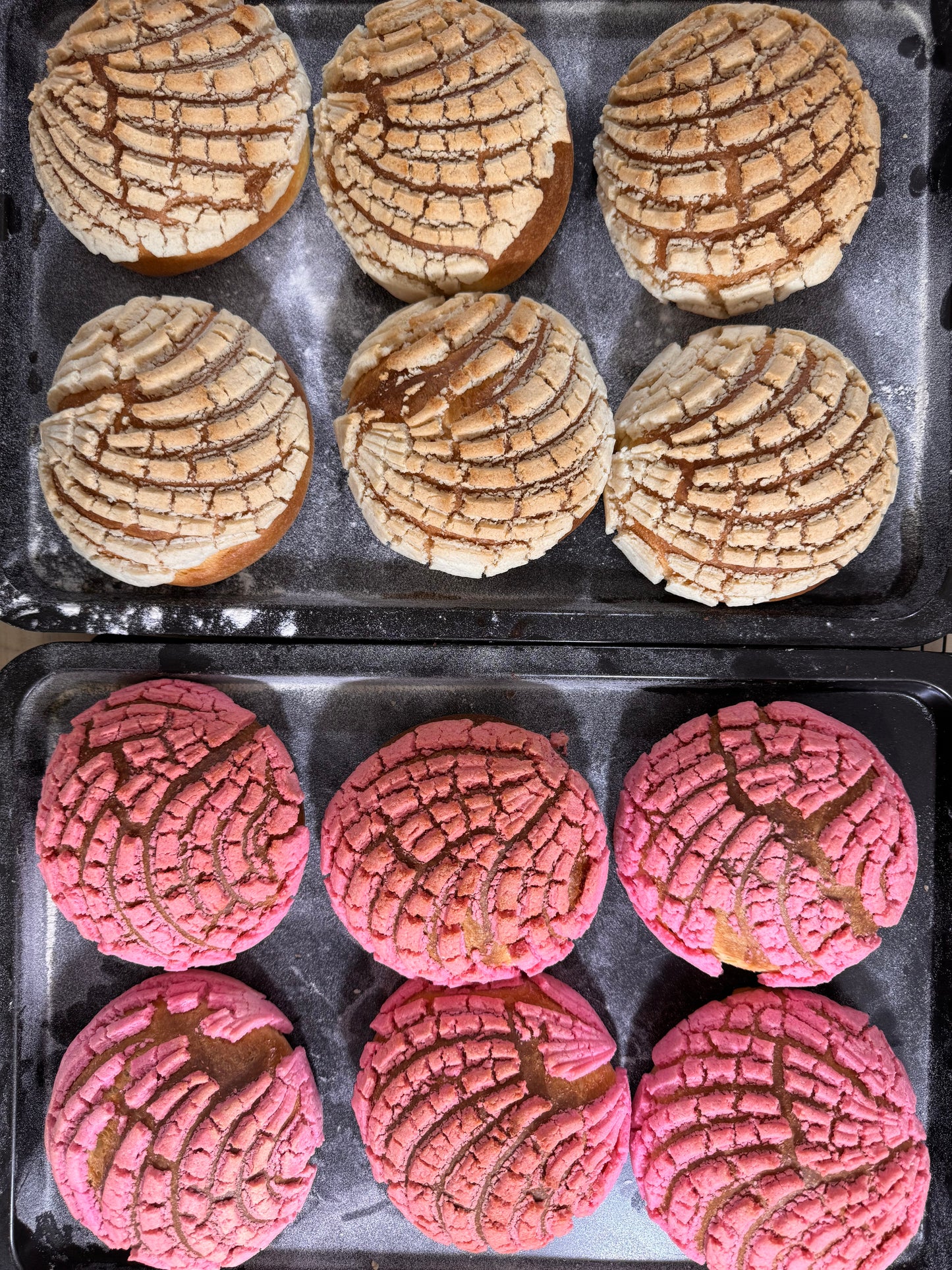 Conchas - Tradición Mexicana