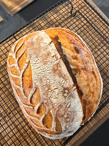 Hogaza Semi Integral