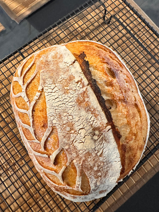 Hogaza Semi Integral - Natural